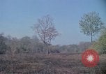 Image of United States soldiers Vietnam, 1967, second 37 stock footage video 65675027033