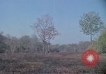 Image of United States soldiers Vietnam, 1967, second 38 stock footage video 65675027033