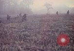 Image of United States soldiers on patrol in Vietnam War Vietnam, 1967, second 1 stock footage video 65675027034