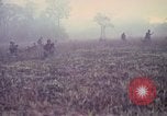 Image of United States soldiers on patrol in Vietnam War Vietnam, 1967, second 3 stock footage video 65675027034