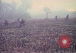 Image of United States soldiers on patrol in Vietnam War Vietnam, 1967, second 4 stock footage video 65675027034