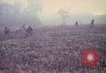 Image of United States soldiers on patrol in Vietnam War Vietnam, 1967, second 10 stock footage video 65675027034