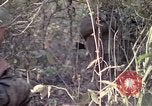 Image of United States soldiers on patrol in Vietnam War Vietnam, 1967, second 31 stock footage video 65675027034