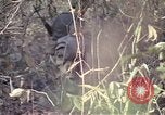 Image of United States soldiers on patrol in Vietnam War Vietnam, 1967, second 35 stock footage video 65675027034