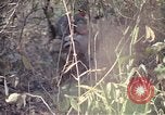 Image of United States soldiers on patrol in Vietnam War Vietnam, 1967, second 36 stock footage video 65675027034