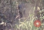 Image of United States soldiers on patrol in Vietnam War Vietnam, 1967, second 38 stock footage video 65675027034