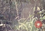 Image of United States soldiers on patrol in Vietnam War Vietnam, 1967, second 39 stock footage video 65675027034
