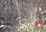 Image of United States soldiers on patrol in Vietnam War Vietnam, 1967, second 40 stock footage video 65675027034