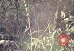Image of United States soldiers on patrol in Vietnam War Vietnam, 1967, second 41 stock footage video 65675027034