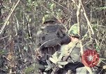 Image of United States soldiers on patrol in Vietnam War Vietnam, 1967, second 45 stock footage video 65675027034