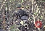 Image of United States soldiers on patrol in Vietnam War Vietnam, 1967, second 50 stock footage video 65675027034