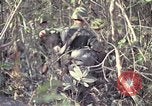 Image of United States soldiers on patrol in Vietnam War Vietnam, 1967, second 52 stock footage video 65675027034