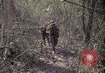Image of United States soldiers Vietnam, 1967, second 43 stock footage video 65675027035