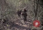 Image of United States soldiers Vietnam, 1967, second 44 stock footage video 65675027035