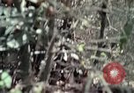 Image of United States soldiers Vietnam, 1967, second 22 stock footage video 65675027036