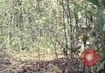 Image of United States soldiers Vietnam, 1967, second 25 stock footage video 65675027036