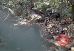 Image of United States soldiers Vietnam, 1967, second 27 stock footage video 65675027036