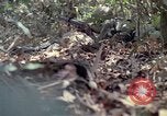 Image of United States soldiers Vietnam, 1967, second 28 stock footage video 65675027036