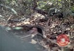 Image of United States soldiers Vietnam, 1967, second 29 stock footage video 65675027036