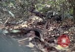Image of United States soldiers Vietnam, 1967, second 30 stock footage video 65675027036