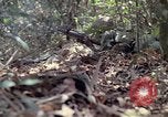 Image of United States soldiers Vietnam, 1967, second 31 stock footage video 65675027036