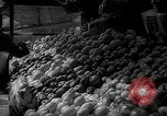 Standbild jüdische Volk der Tschechoslowakei, 1938, aus Sekunde 1 historischem Filmmaterial Videoclip 65675027051