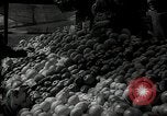 Standbild jüdische Volk der Tschechoslowakei, 1938, aus Sekunde 3 historischem Filmmaterial Videoclip 65675027051