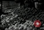 Standbild jüdische Volk der Tschechoslowakei, 1938, aus Sekunde 4 historischem Filmmaterial Videoclip 65675027051