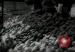 Standbild jüdische Volk der Tschechoslowakei, 1938, aus Sekunde 6 historischem Filmmaterial Videoclip 65675027051