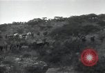 Immagine di Le truppe italiane Etiopia, 1935, secondo 27 filmato di repertorio 65675027058
