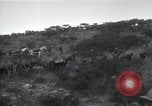 Immagine di Le truppe italiane Etiopia, 1935, secondo 28 filmato di repertorio 65675027058