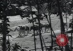 Image of Ethiopians prepare for war with Italy Ethiopia, 1935, second 7 stock footage video 65675027061