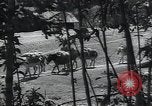 Image of Ethiopians prepare for war with Italy Ethiopia, 1935, second 8 stock footage video 65675027061