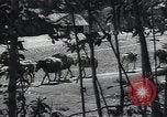 Image of Ethiopians prepare for war with Italy Ethiopia, 1935, second 9 stock footage video 65675027061