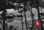 Image of Ethiopians prepare for war with Italy Ethiopia, 1935, second 10 stock footage video 65675027061