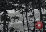 Image of Ethiopians prepare for war with Italy Ethiopia, 1935, second 11 stock footage video 65675027061