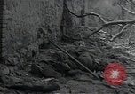 Image Les bâtiments détruits entièrement en Italie dans Seconde Guerre Mondiale en Afrique du Nord, 1943, de la seconde 40 séquences d'archives historiques vidéo 65675027072