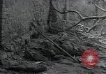 Image Les bâtiments détruits entièrement en Italie dans Seconde Guerre Mondiale en Afrique du Nord, 1943, de la seconde 41 séquences d'archives historiques vidéo 65675027072