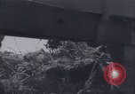 Image programme de réforme foncière Calabre Italie, 1952, de la seconde 38 séquences d'archives historiques vidéo 65675027076