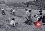Image programme de réforme foncière Calabre Italie, 1952, de la seconde 48 séquences d'archives historiques vidéo 65675027076