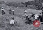 Image programme de réforme foncière Calabre Italie, 1952, de la seconde 49 séquences d'archives historiques vidéo 65675027076