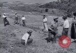 Image programme de réforme foncière Calabre Italie, 1952, de la seconde 51 séquences d'archives historiques vidéo 65675027076