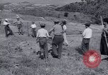 Image programme de réforme foncière Calabre Italie, 1952, de la seconde 53 séquences d'archives historiques vidéo 65675027076