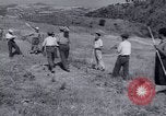 Image programme de réforme foncière Calabre Italie, 1952, de la seconde 55 séquences d'archives historiques vidéo 65675027076
