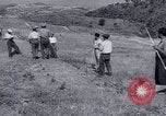 Image programme de réforme foncière Calabre Italie, 1952, de la seconde 57 séquences d'archives historiques vidéo 65675027076