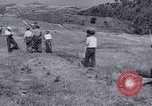 Image programme de réforme foncière Calabre Italie, 1952, de la seconde 58 séquences d'archives historiques vidéo 65675027076
