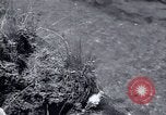 Standbild Landreform Kalabrien Italien, 1952, aus Sekunde 1 historischem Filmmaterial Videoclip 65675027077