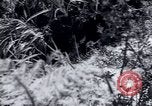 Standbild Landreform Kalabrien Italien, 1952, aus Sekunde 8 historischem Filmmaterial Videoclip 65675027077