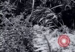 Standbild Landreform Kalabrien Italien, 1952, aus Sekunde 9 historischem Filmmaterial Videoclip 65675027077