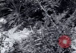 Standbild Landreform Kalabrien Italien, 1952, aus Sekunde 10 historischem Filmmaterial Videoclip 65675027077